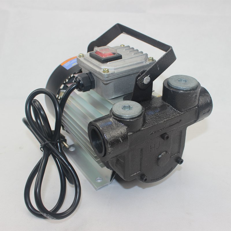 220V AC Portable Electric Diesel Engine Oil Transfer Extractor Fuel Pump Motor Self Priming 550W for Mobile Gas Station
