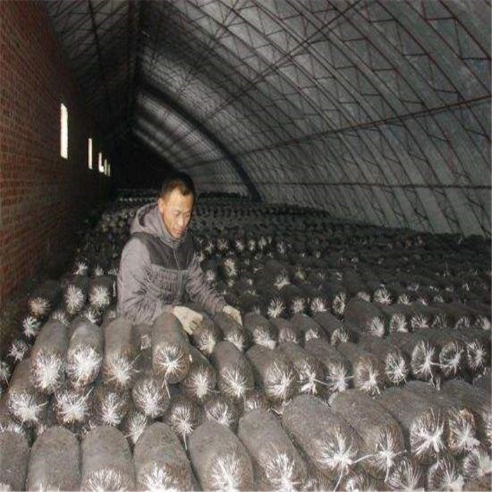 Automatic Mushroom Farm Bag Remover Crusher Equipment Electric Fungi Substrate Separator Fungus Growing Bags Stripping Machine