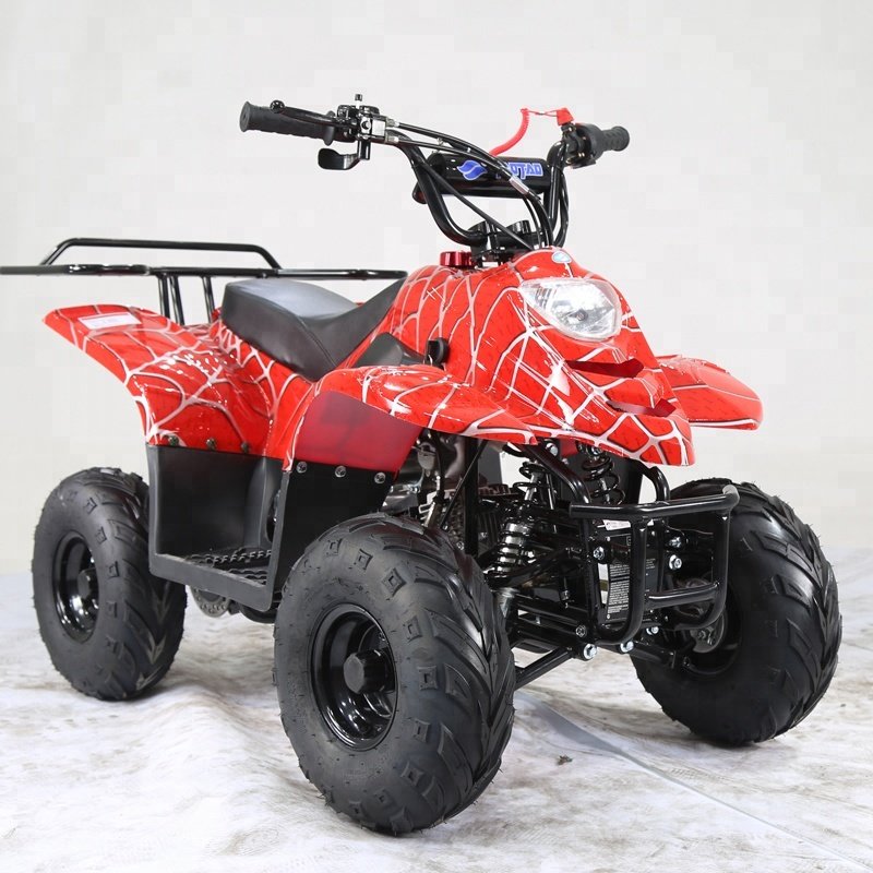 Tao Motor ATA110-B1 Cheap Farm 110cc Kids ATV for Sale