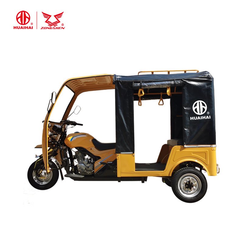 Tricycle Petrol Auto Rickshaw Gas Motor Bajaj Passenger Tricycle 48V Motorized Motor Cars Eec Open 16L