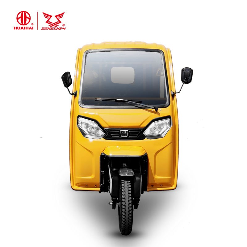 Tricycle Petrol Auto Rickshaw Gas Motor Bajaj Passenger Tricycle 48V Motorized Motor Cars Eec Open 16L