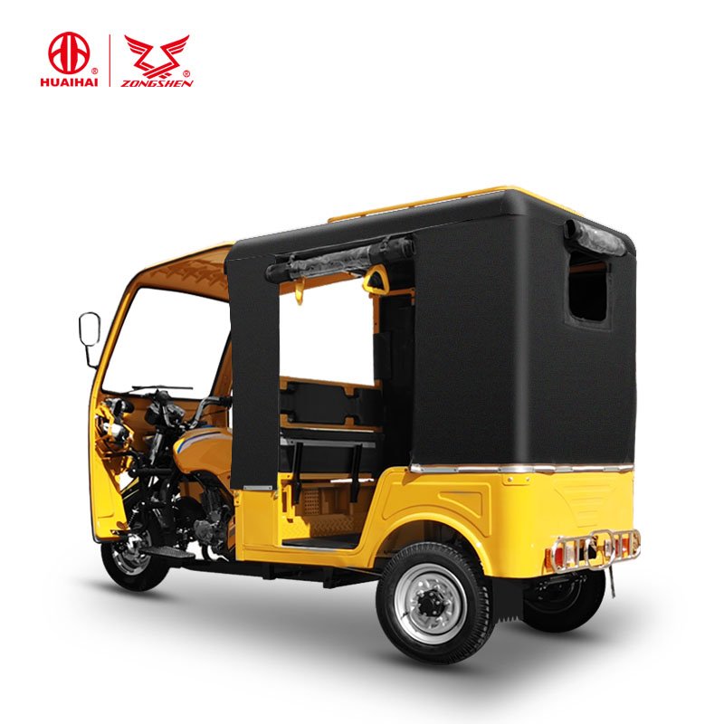 Tricycle Petrol Auto Rickshaw Gas Motor Bajaj Passenger Tricycle 48V Motorized Motor Cars Eec Open 16L