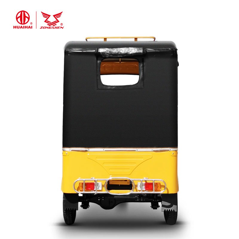 Tricycle Petrol Auto Rickshaw Gas Motor Bajaj Passenger Tricycle 48V Motorized Motor Cars Eec Open 16L