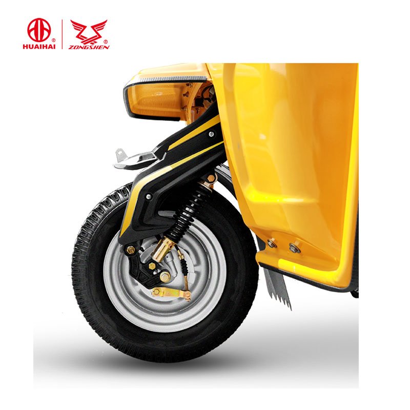 Tricycle Petrol Auto Rickshaw Gas Motor Bajaj Passenger Tricycle 48V Motorized Motor Cars Eec Open 16L