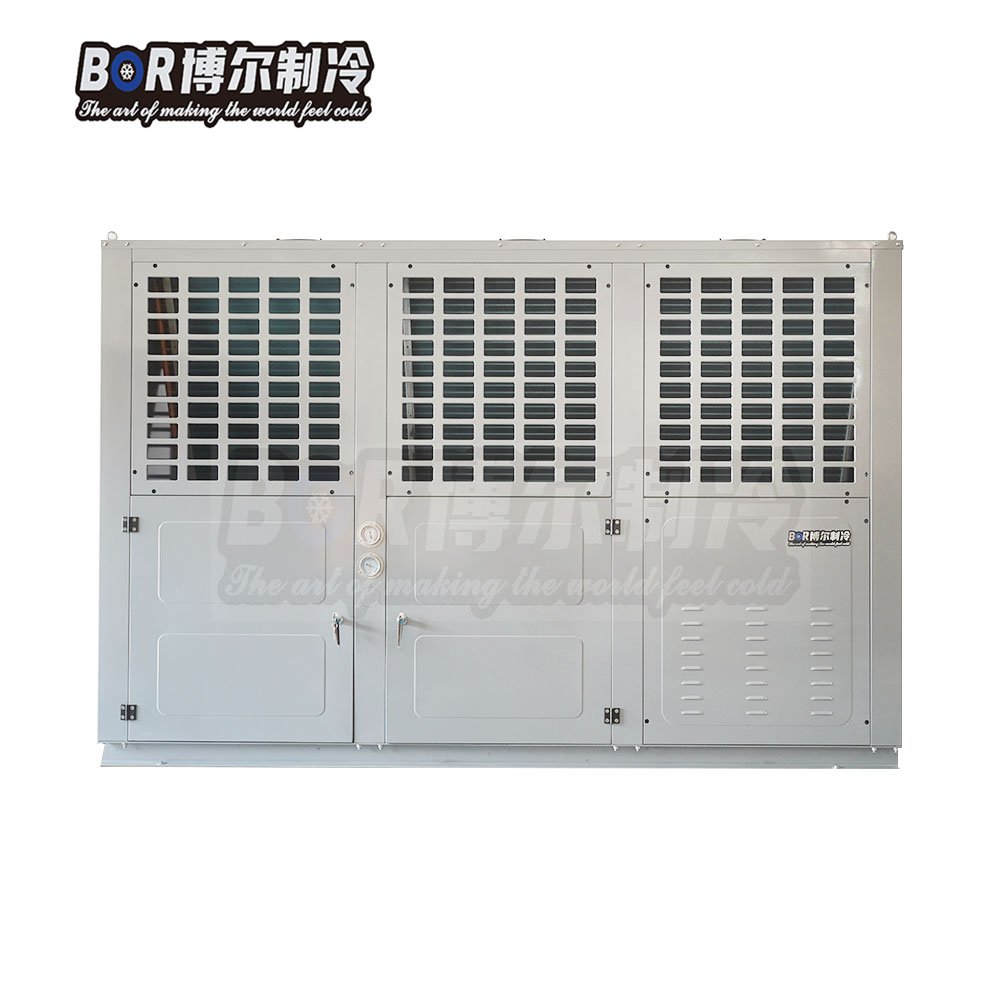 Bitzer 380V Customizable Heavy-Duty Cold Room Refrigeration System V-Type Outlet Featuring Copeland New Motor