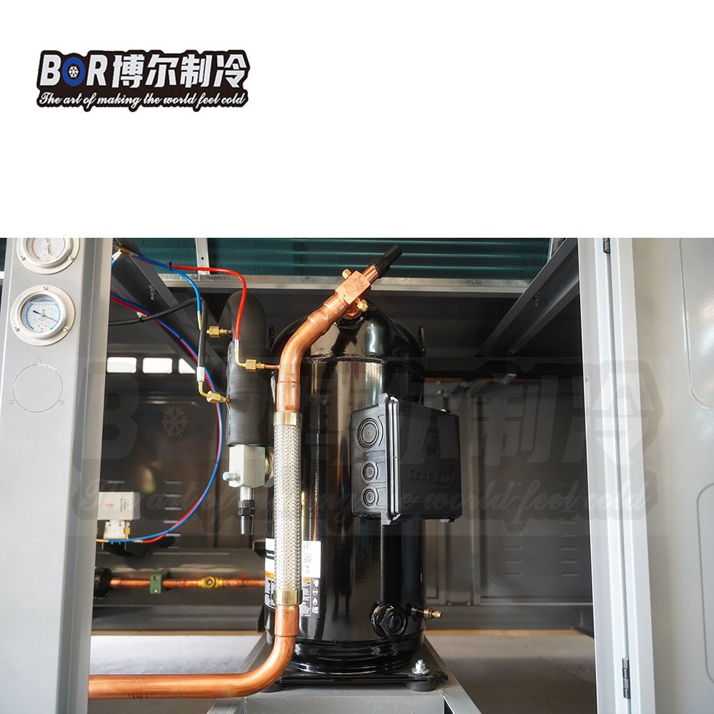 Bitzer 380V Customizable Heavy-Duty Cold Room Refrigeration System V-Type Outlet Featuring Copeland New Motor