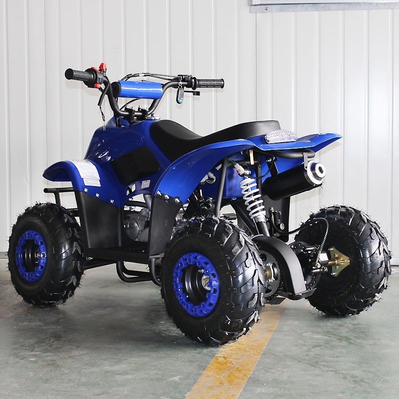 Tao Motor Hot Selling Model ATA110-F 110cc Kids Automatic 36V Mototec Rex 110cc 4-stroke Kids Gas Atv Blue 49x29 110cc Quad Bike