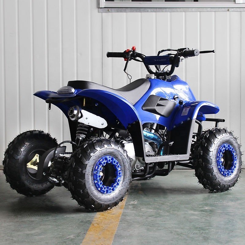 Tao Motor Hot Selling Model ATA110-F 110cc Kids Automatic 36V Mototec Rex 110cc 4-stroke Kids Gas Atv Blue 49x29 110cc Quad Bike