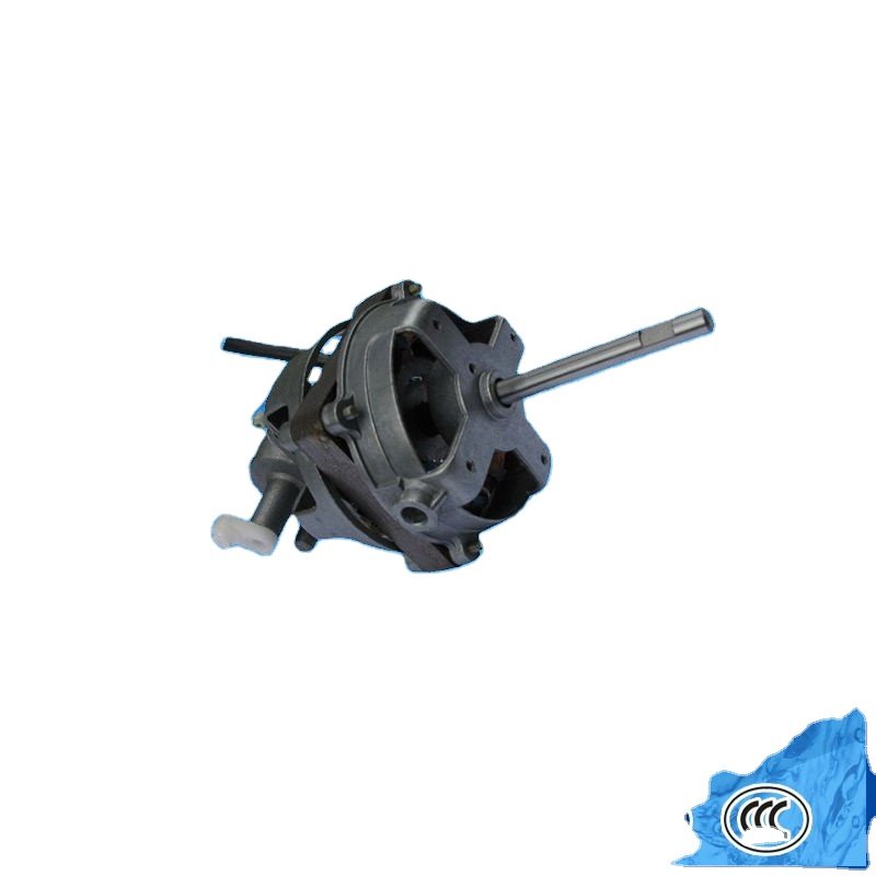 50HZ 60HZ Multi Power Universal Drain Dehydrated Motor Wash Motor