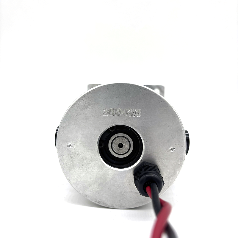 High Quality High Torque Long Life Low Noise Factory Price 12V 24V 36V Tubular Brush DC Motor For Auto Door