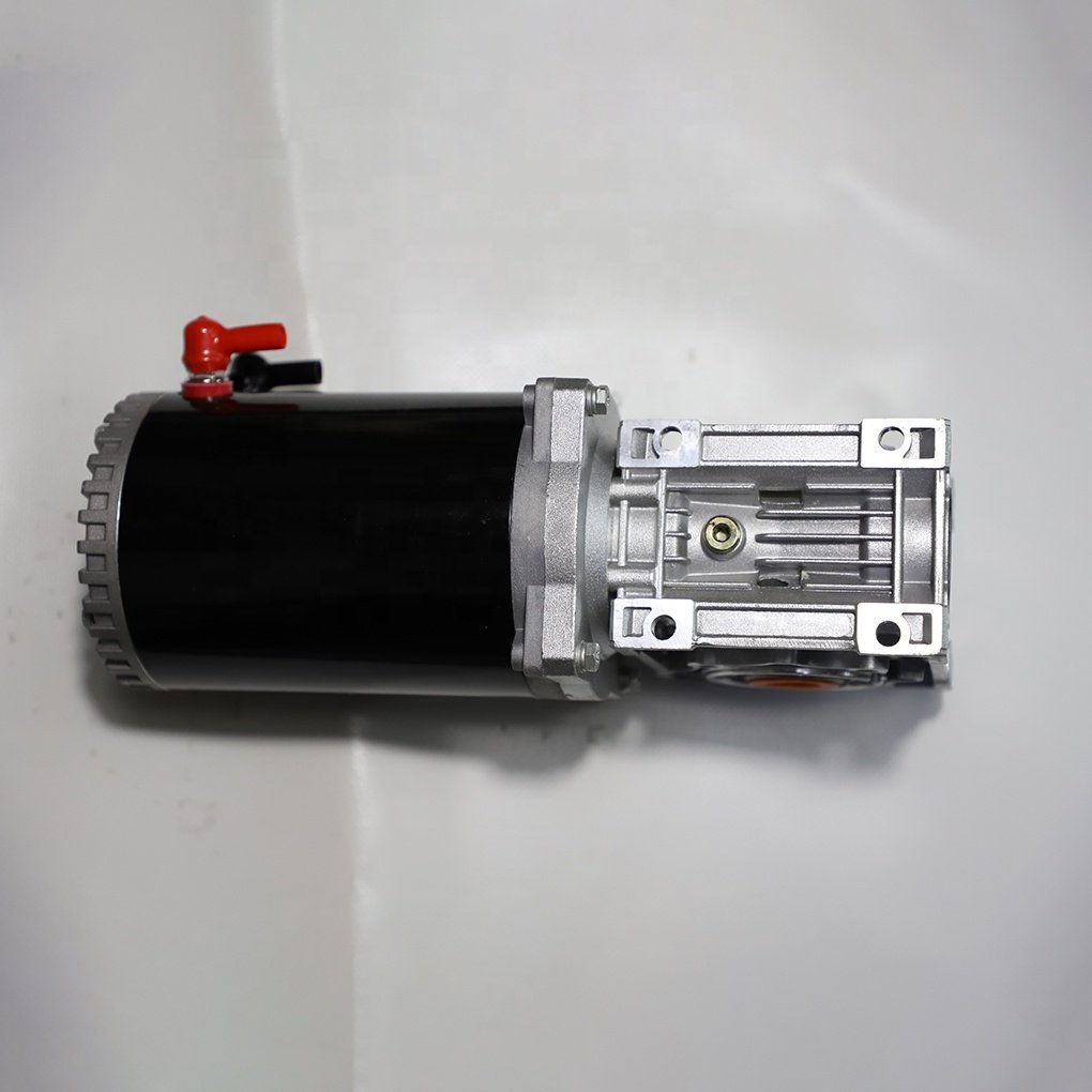 China High 900W Electric Motor 24V High Torque Low RPM Brushed DC Geared Motor Permanent Magnet Fan Boat Use 24V Volta Sale
