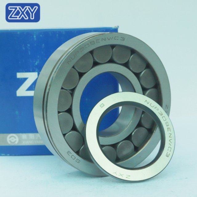 Cylindrical Roller Bearing NUP309 NJ305 NU306 NUP210 NUP2209 NUP306 NUP307 NUP310 NUP308 NUP311