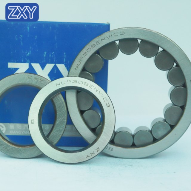 Cylindrical Roller Bearing NUP309 NJ305 NU306 NUP210 NUP2209 NUP306 NUP307 NUP310 NUP308 NUP311