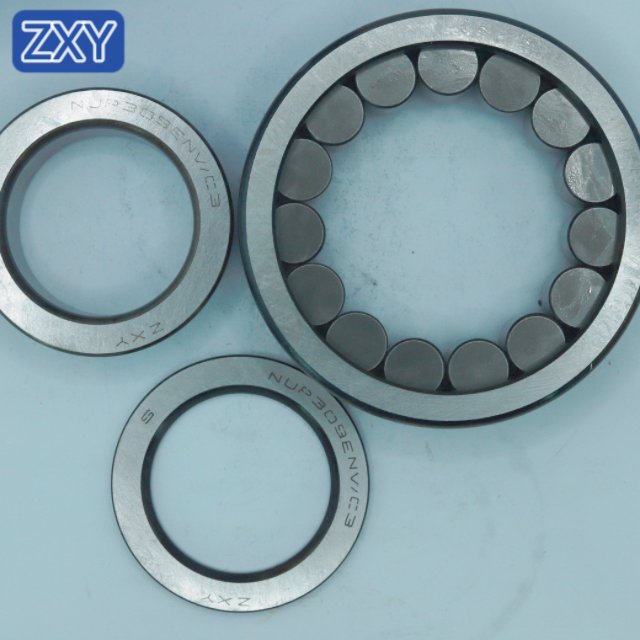 Cylindrical Roller Bearing NUP309 NJ305 NU306 NUP210 NUP2209 NUP306 NUP307 NUP310 NUP308 NUP311