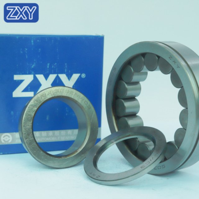 Cylindrical Roller Bearing NUP309 NJ305 NU306 NUP210 NUP2209 NUP306 NUP307 NUP310 NUP308 NUP311