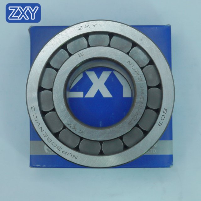 Cylindrical Roller Bearing NUP309 NJ305 NU306 NUP210 NUP2209 NUP306 NUP307 NUP310 NUP308 NUP311