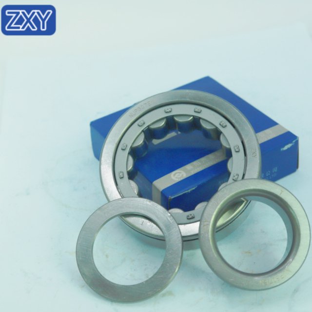 Cylindrical Roller Bearing NUP307 NJ305 NU306 NUP210 NUP2209 NUP306 NUP310 NUP308 NUP309 NUP311