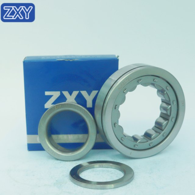 Cylindrical Roller Bearing NUP307 NJ305 NU306 NUP210 NUP2209 NUP306 NUP310 NUP308 NUP309 NUP311