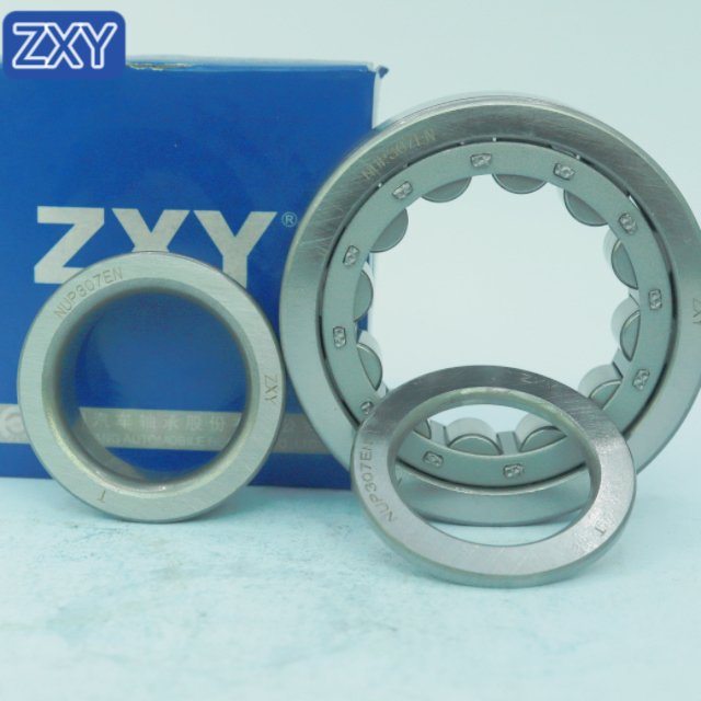 Cylindrical Roller Bearing NUP307 NJ305 NU306 NUP210 NUP2209 NUP306 NUP310 NUP308 NUP309 NUP311
