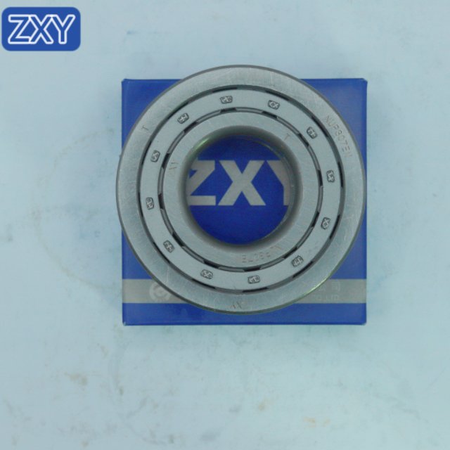 Cylindrical Roller Bearing NUP307 NJ305 NU306 NUP210 NUP2209 NUP306 NUP310 NUP308 NUP309 NUP311