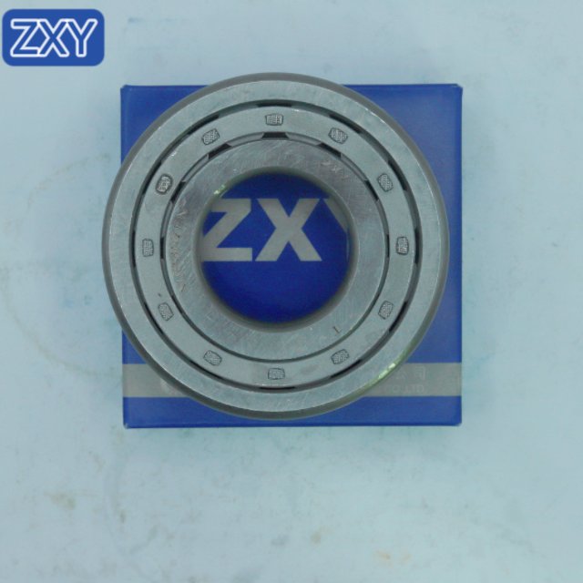 Cylindrical Roller Bearing NUP307 NJ305 NU306 NUP210 NUP2209 NUP306 NUP310 NUP308 NUP309 NUP311