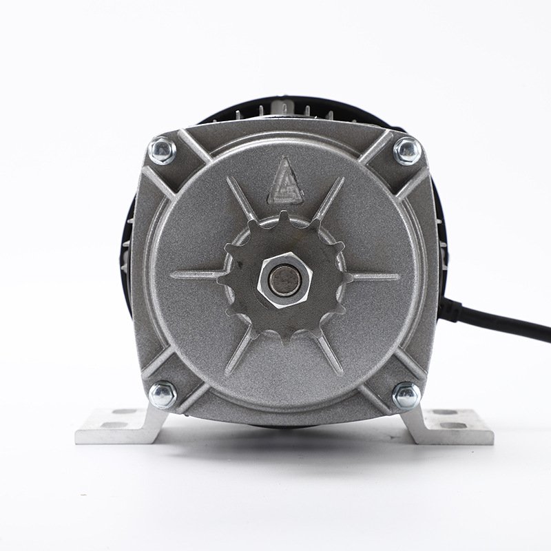 Factory Direct Purchase 24V 48V 60V 500W 800W DC Brushless Motor Permanent Magnet Cargo Electric Tricycle Motor