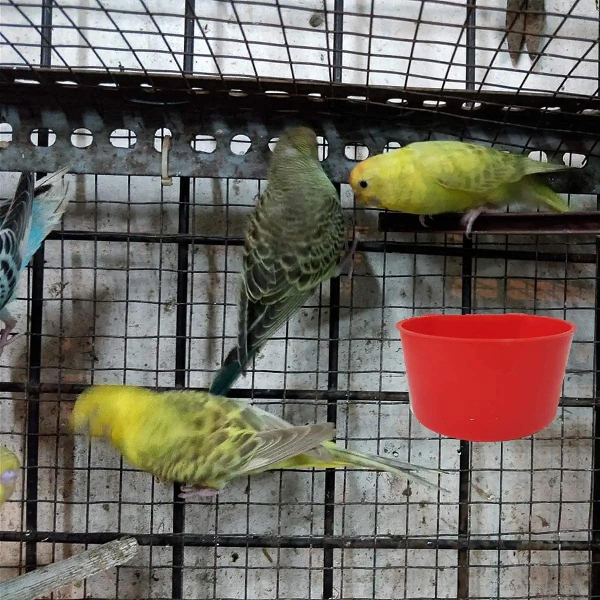 ZZ LMB 11 Bird Cage Feeding Cups Chicken Seed Bowl Hanging Parrot Food Dishes