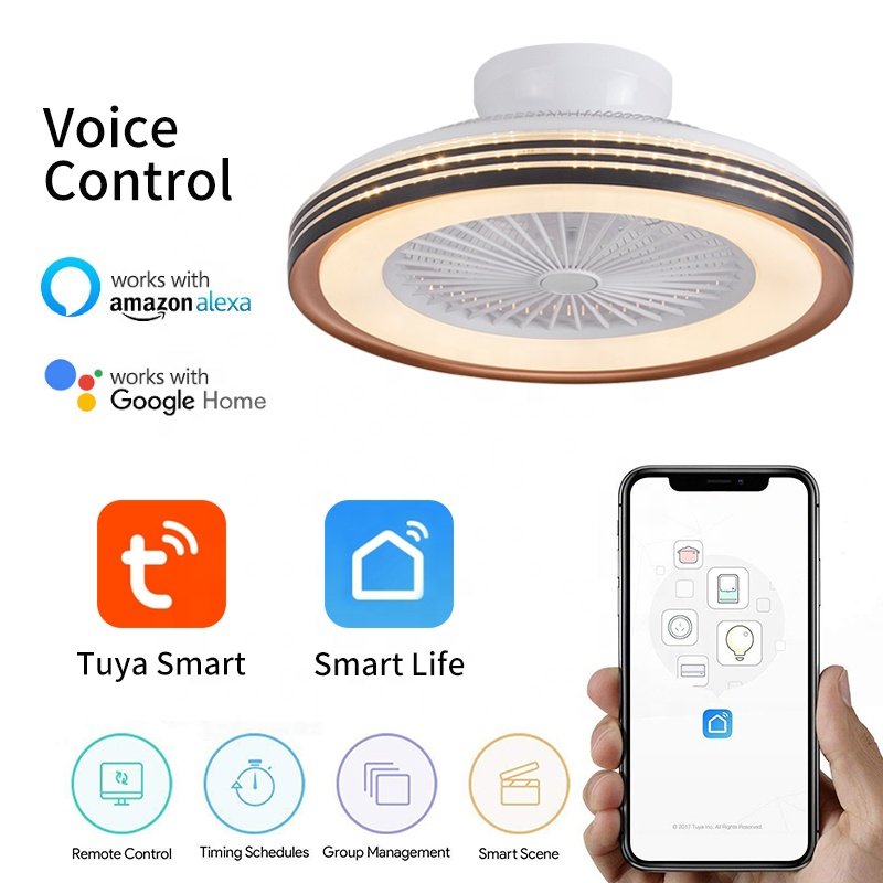 XD50 Smart Ceiling Fan Light 50cm Bladeless 5 DC Motor Blades Remote App Control Lighting Solutions for Project Installation