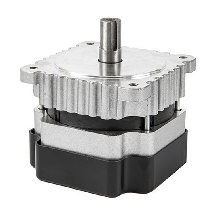 High Efficiency Auto Machinery Servo 24 Volt Kit Dc Brushless Motor