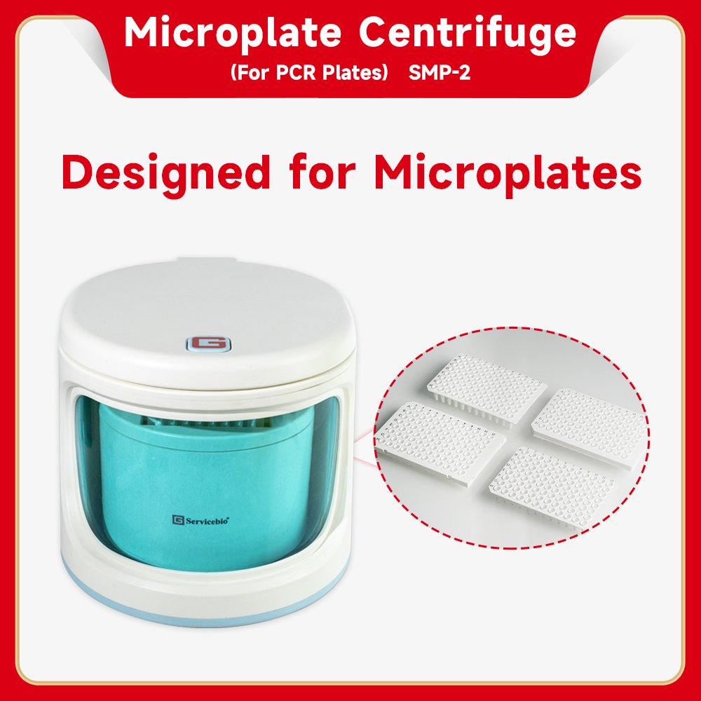 OEM ODM Factory Direct DC Motor Stable Auto PCR Plate Mini Microplate Centrifuge