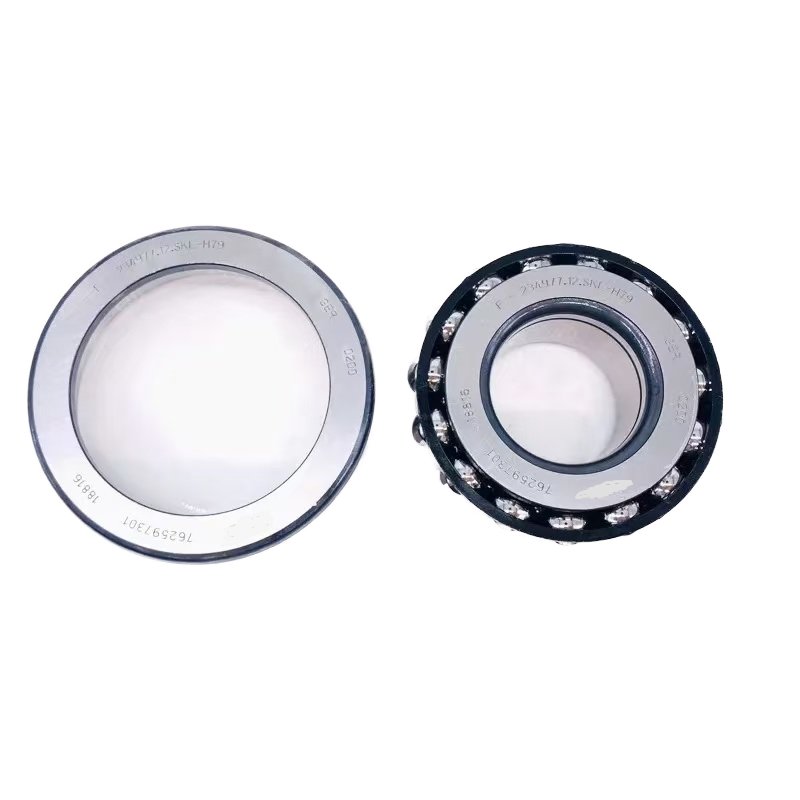 High-Speed Custom Auto Motorcycle Angular Contact Ball Bearings Long-Life Differential Bearing-F-58221.SKL F-553612.01.SKL