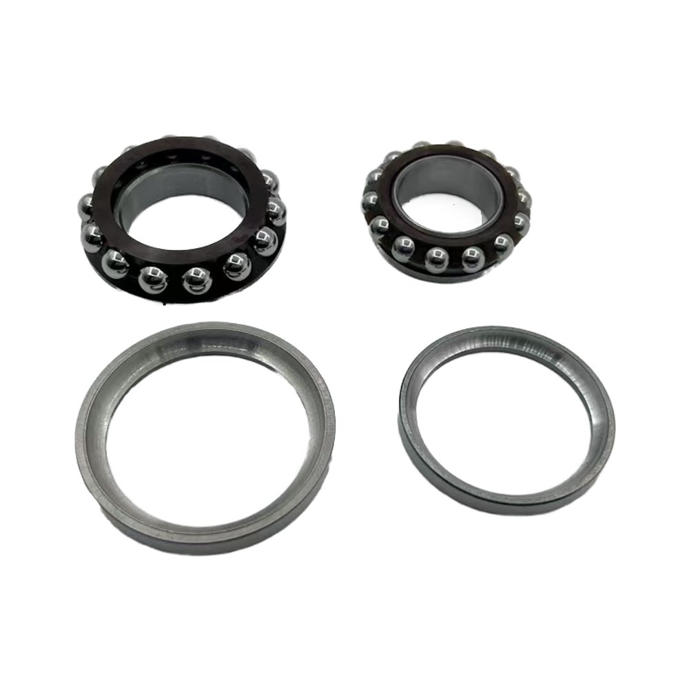 High-Speed Custom Auto Motorcycle Angular Contact Ball Bearings Long-Life Differential Bearing-F-58221.SKL F-553612.01.SKL