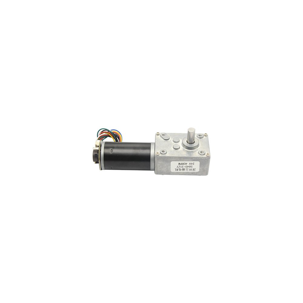 5840-31ZY Worm With Encoder DC Gear Reduction Motor Right Angle High Torque Motor 12V24V