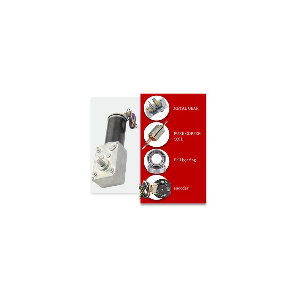 5840-31ZY Worm With Encoder DC Gear Reduction Motor Right Angle High Torque Motor 12V24V