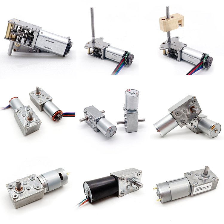 Factory Supply High Torque Low Rpm 24v 12v Dc Gear Motor 100rpm 1pm Worm Gear Motor for Auto Application