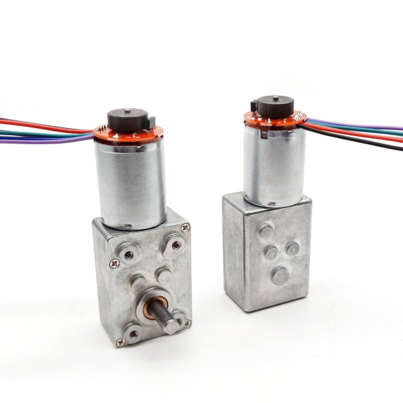 Factory Supply High Torque Low Rpm 24v 12v Dc Gear Motor 100rpm 1pm Worm Gear Motor for Auto Application