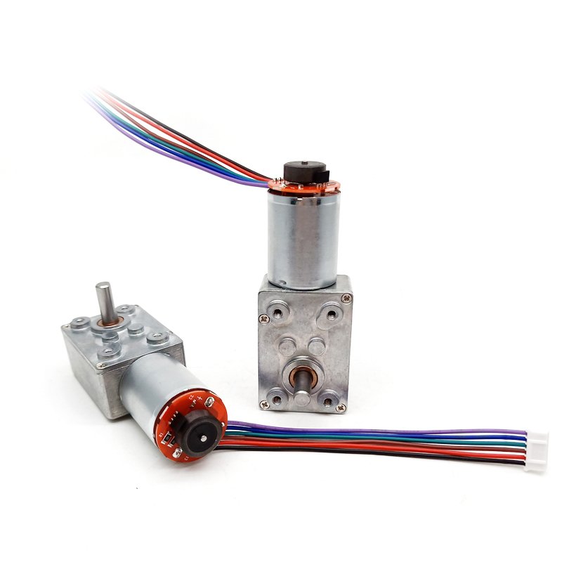 Factory Supply High Torque Low Rpm 24v 12v Dc Gear Motor 100rpm 1pm Worm Gear Motor for Auto Application