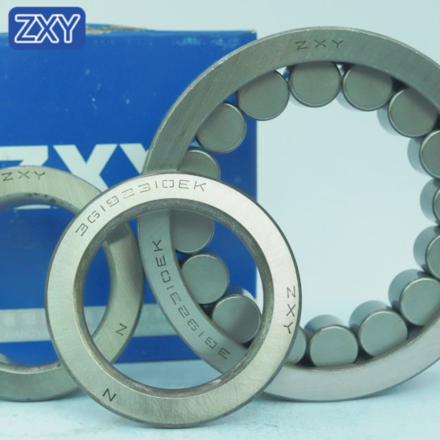 Cylindrical Roller Bearing NUP310 NJ305 NU306 NUP210 NUP2209 NUP306 NUP307 NUP308 NUP309 NUP311