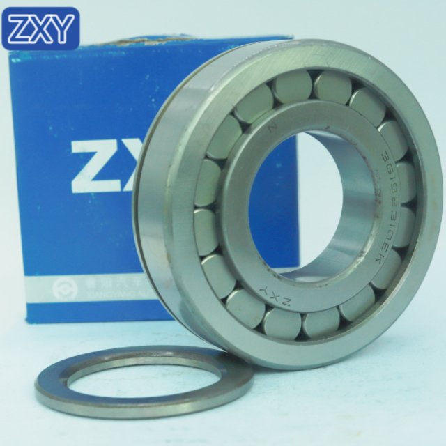 Cylindrical Roller Bearing NUP310 NJ305 NU306 NUP210 NUP2209 NUP306 NUP307 NUP308 NUP309 NUP311