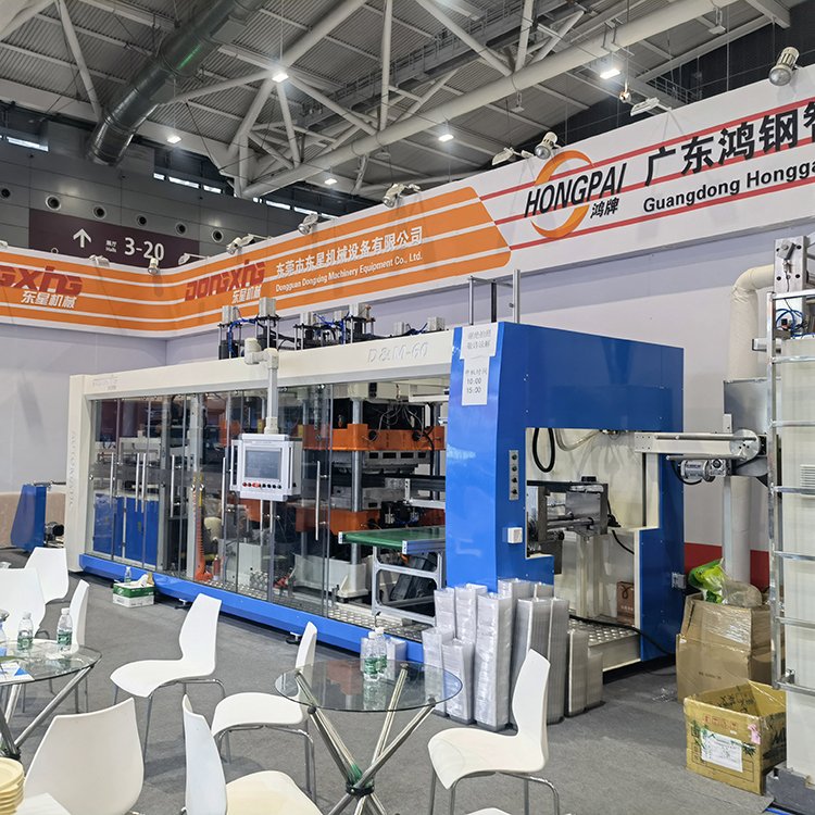 Three Station Fully Auto Pp Seed Tray PP Biodegradable Plastic Food Containers Thermoforming Machine