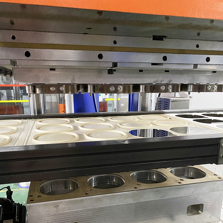 Three Station Fully Auto Pp Seed Tray PP Biodegradable Plastic Food Containers Thermoforming Machine