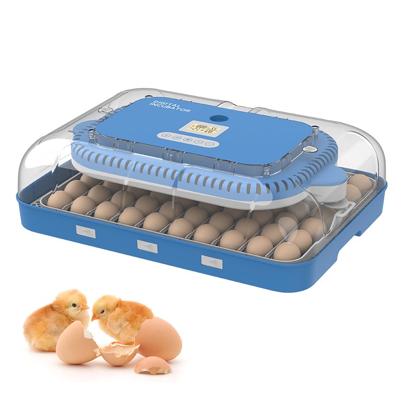 2024 New Arrival HHD Brand YZ-70 Poultry Brooder Equipment Controller Ac Dc Full Auto 70 Capacity Eggs Incubator in Spain