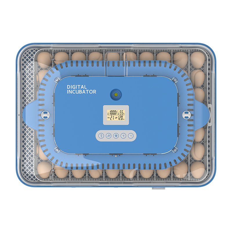 2024 New Arrival HHD Brand YZ-70 Poultry Brooder Equipment Controller Ac Dc Full Auto 70 Capacity Eggs Incubator in Spain