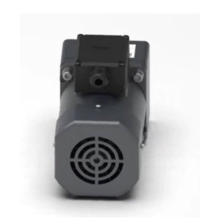 Various Useful Functions Ac Induction Motor Single Phase Ac Asynchronic Gear Motor Ac Motor 3 Phase