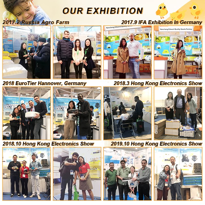 WONEGG Hot Saling Automatic Poultry Equipment Parts Solar Power Mini Chicken Egg Incubator and Hatcher Philippines Price