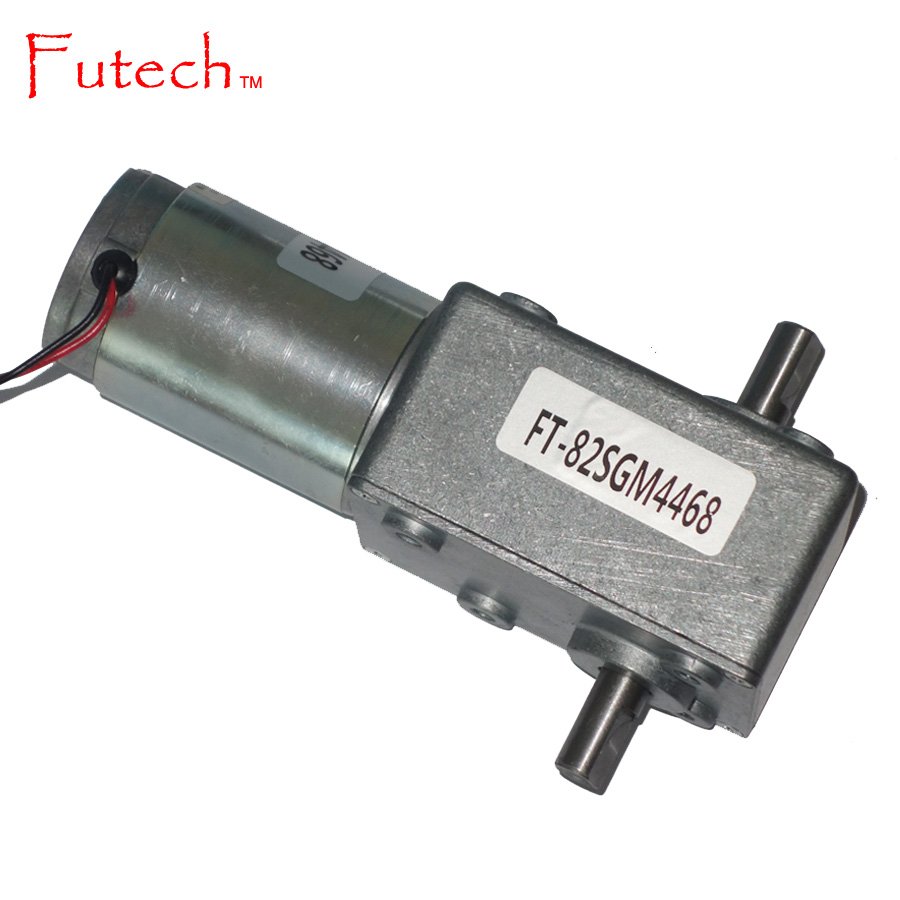 Dual Output Shaft DC Worm Gear Motor