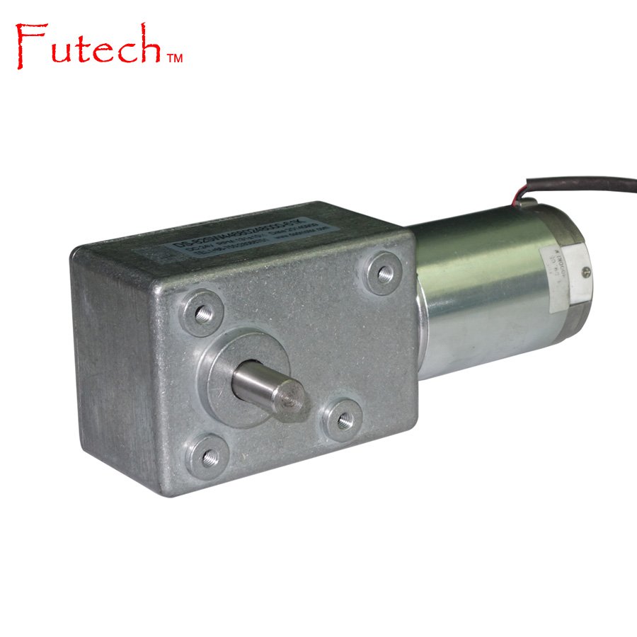 Dual Output Shaft DC Worm Gear Motor