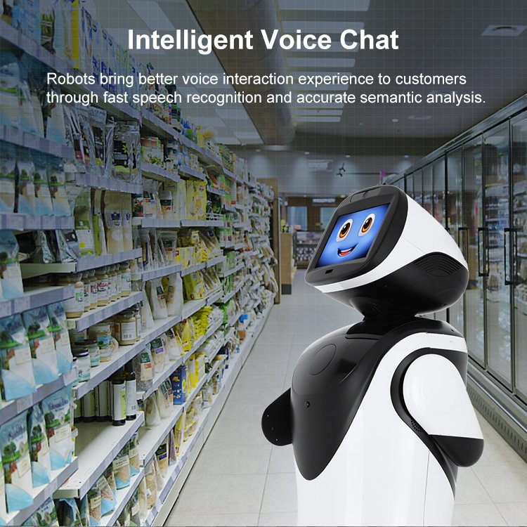 Auto Robot Enderezado Commercial Reception Robot for Shopping Mall Welcome Reception Service