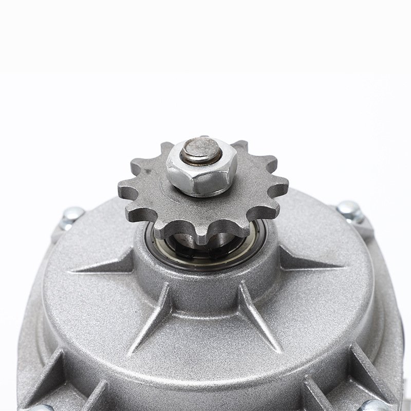 24V 48V 60V 500W 800W Brushless DC Geared Motor Center Motor Tricycle Electric Vehicle Conversion Motor