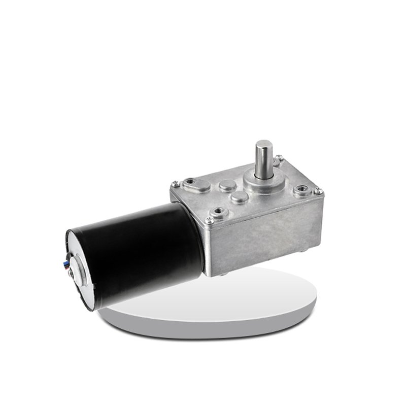 2025 Faradyi High Torque Low Rpm 24v 12v Dc Gear Motor 100rpm Worm Gear Motor for Auto Application